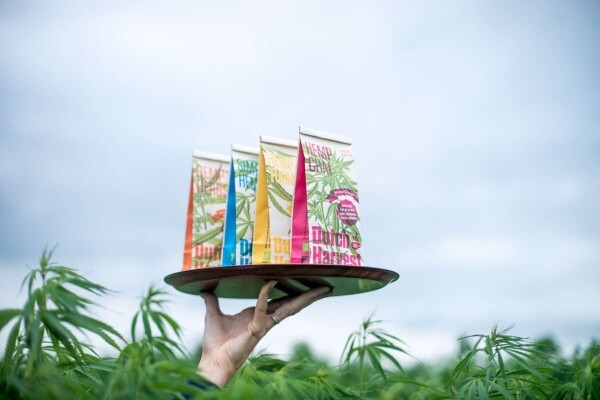 Sleepy Hemp - Hemp & Herbal Tea Blend 40g - Dutch Harvest loose leaf tea